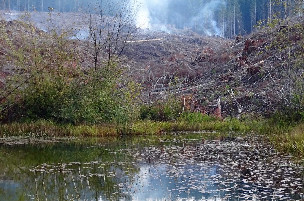 Oregon Told: Fix River Temperature Pollution