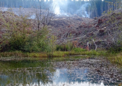 Oregon Told: Fix River Temperature Pollution