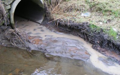 NPDES Discharge Permit Authorization FOIA