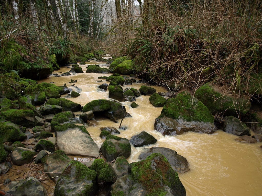 logging and farming polluted runoff