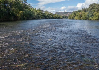 Rogue River Cleanup Moves Forward