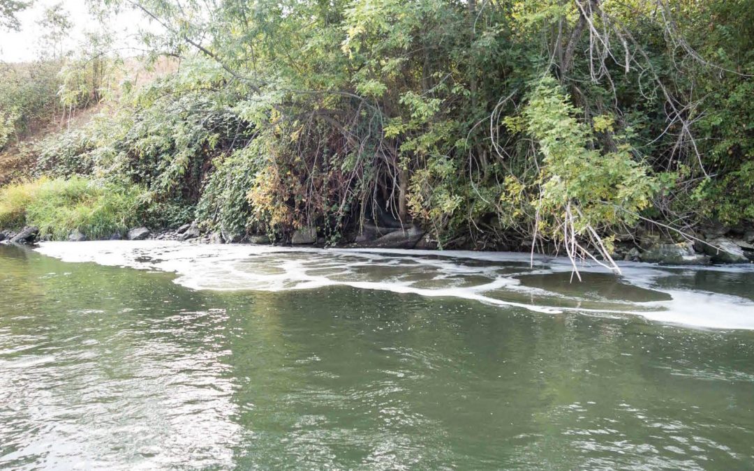 Medford's Sewage Discharges Rogue River Foam