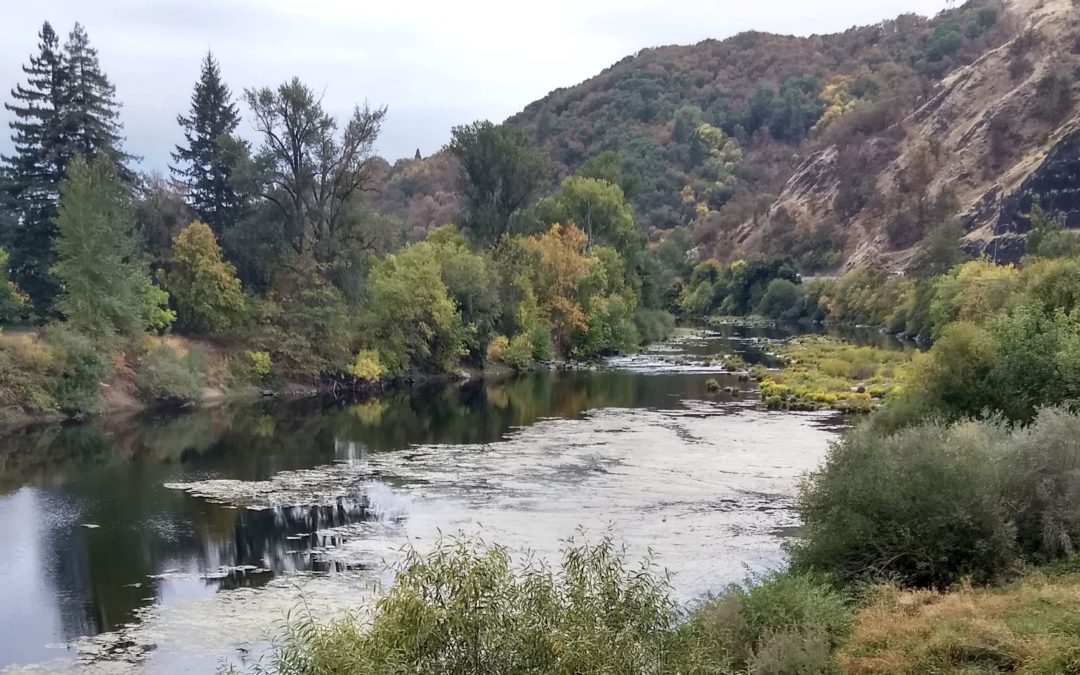 Oregon Told Expedite River Cleanup Plans