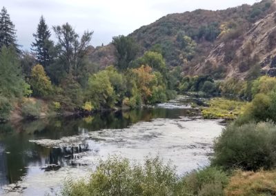 Oregon Told Expedite River Cleanup Plans