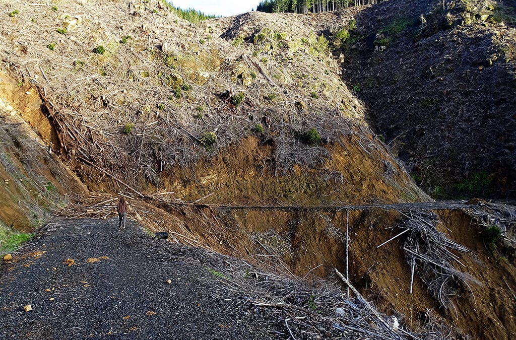 New Oregon Logging Rules Deficient
