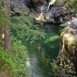 opal creek