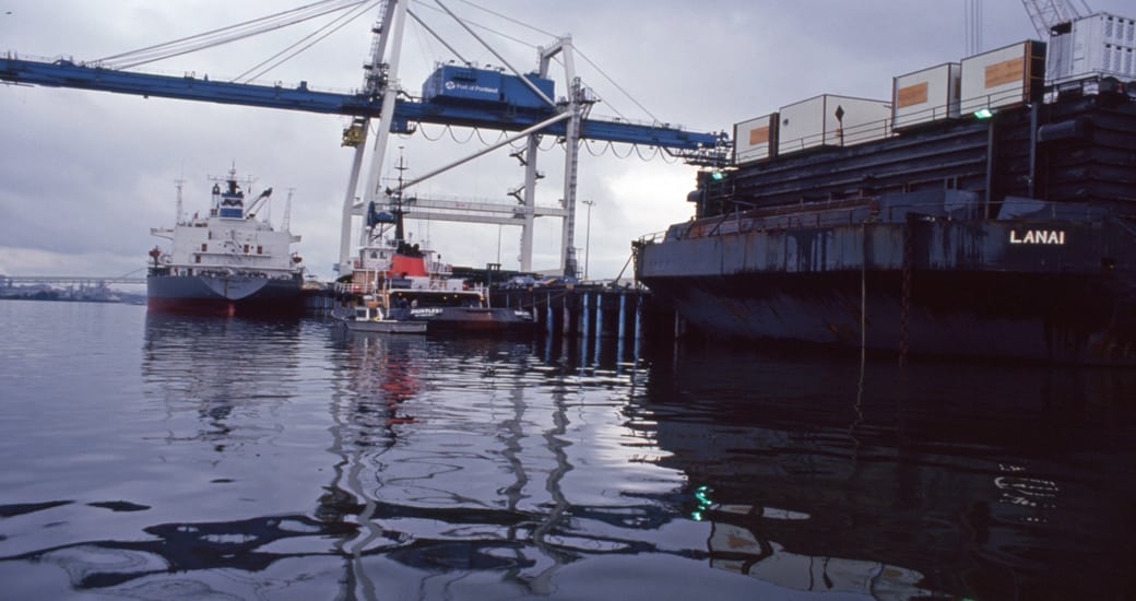 Mercury in the Willamette River