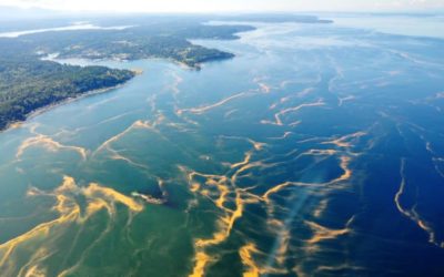 Puget Sound Needs Modern Sewage Treatment