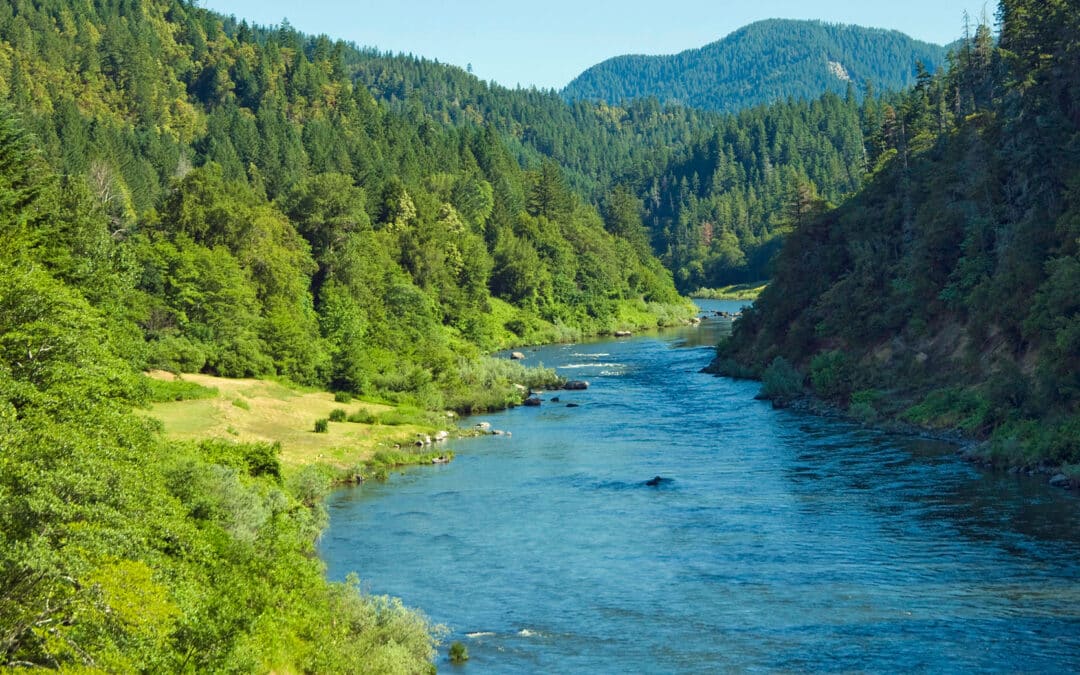 Rogue River Oregon Update