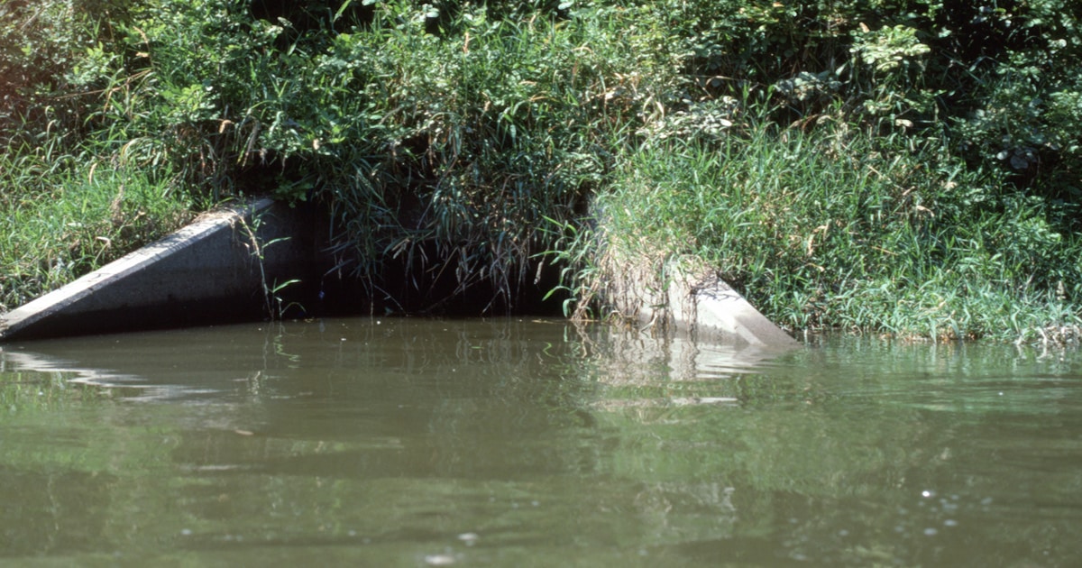 clean water act Oregon Polluted waters