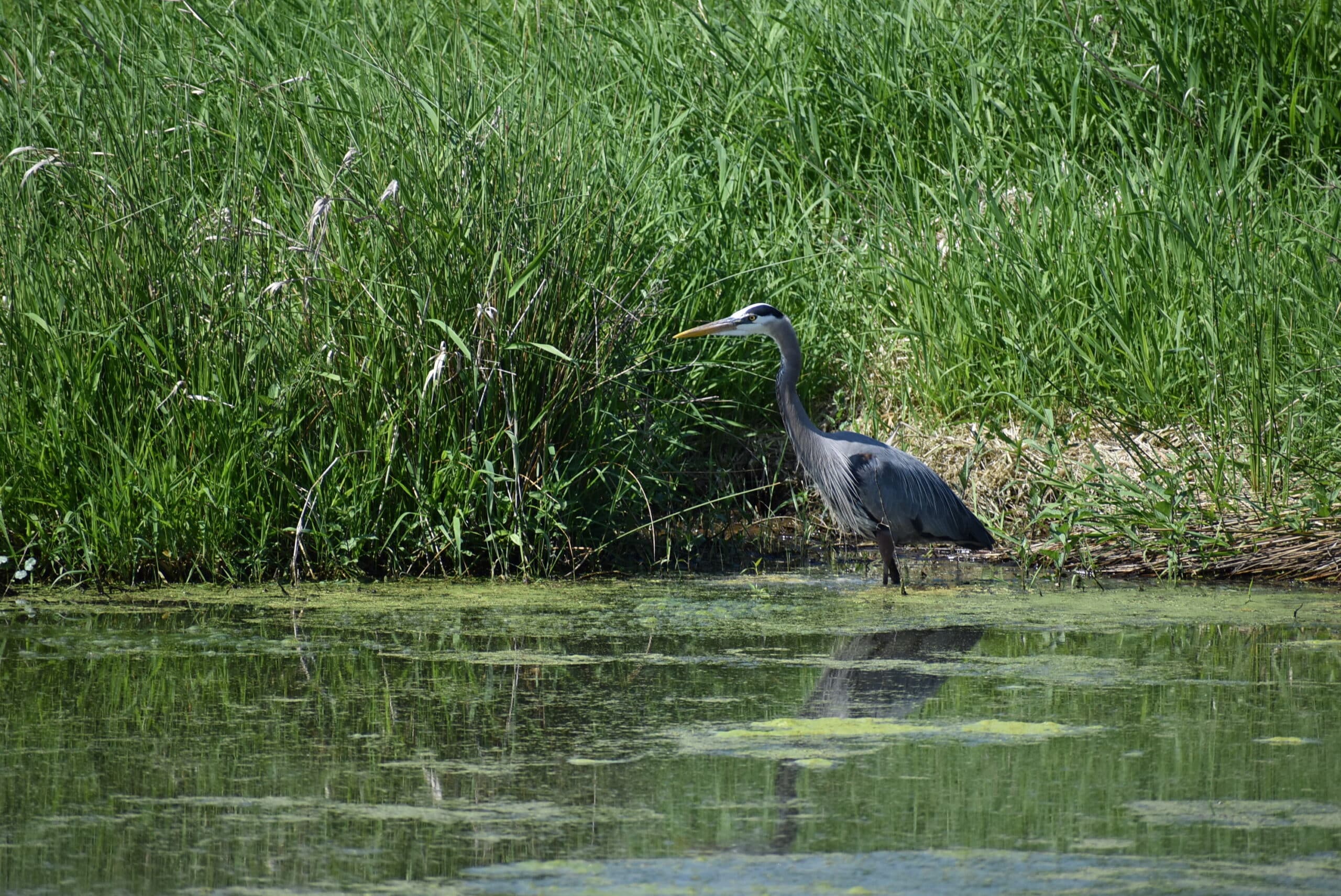 Toxic Pollutant Lists Petition Attachments