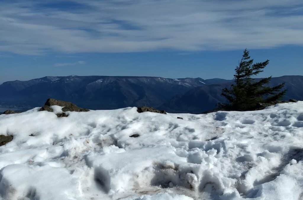 Winter 2025 Newsletter