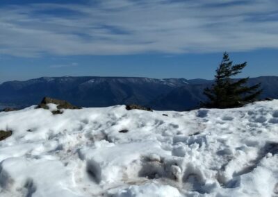 Winter 2025 Newsletter