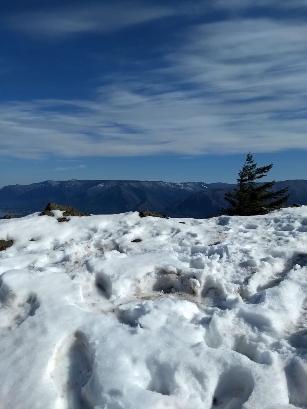 Winter 2025 Newsletter PDF