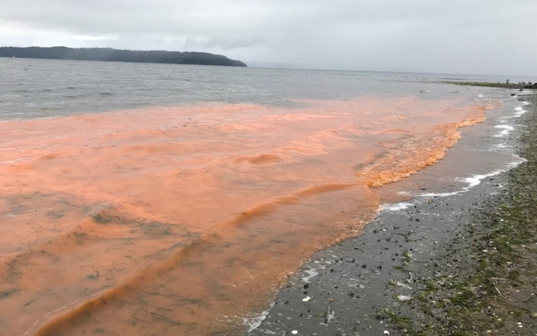 Washington Ignores Clean Water Act