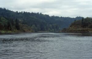 Columbia River Cold-Water Refuges