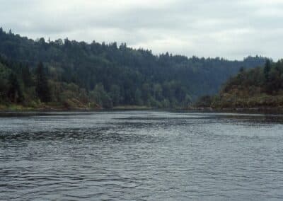 Lawsuit Forces EPA to Help Salmon Migrate a Hot Columbia River